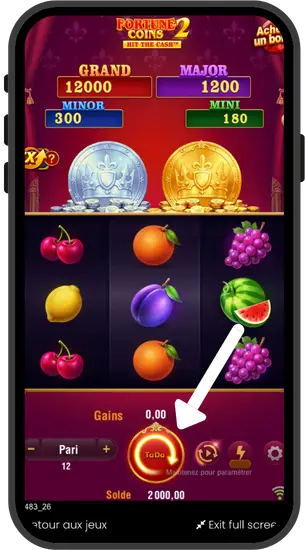 Paramètres de lecture automatique de Fortune Coins 2 avec configuration des tours
