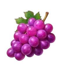 Symbole Raisin