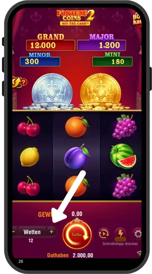 Fortune Coins 2 Einsatzanpassungspanel mit Einsatzoptionen